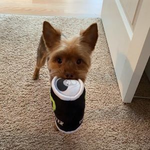 Meet your Posher, Carly